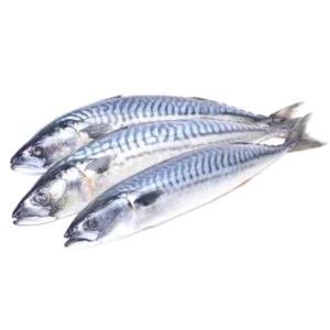 Abijan Salmon - 1kg
