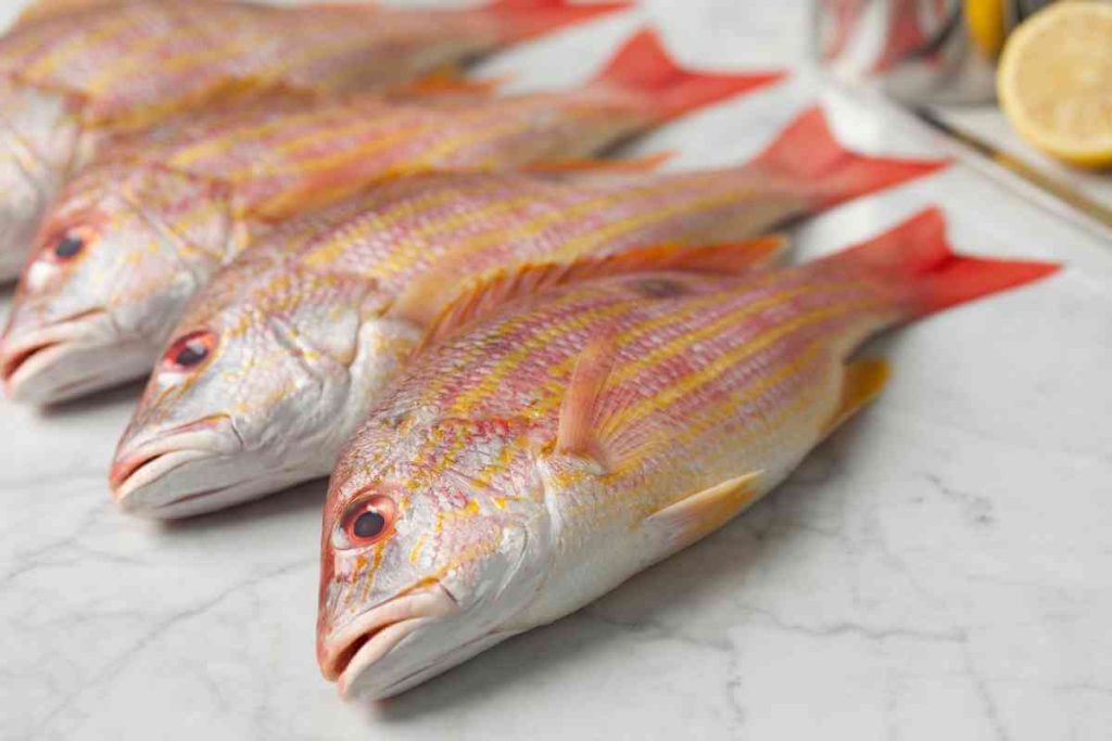 Red Fish -  1kg (Large Size)