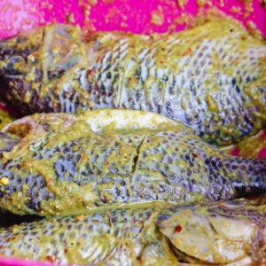 Spiced Tilapia - 3pieces XL Size